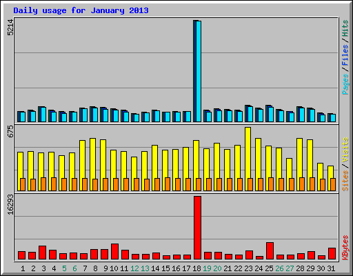Daily usage for January 2013