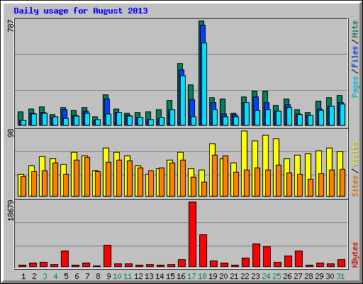 Daily usage for August 2013