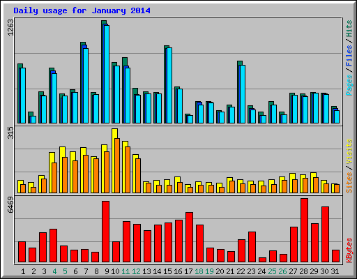 Daily usage for January 2014