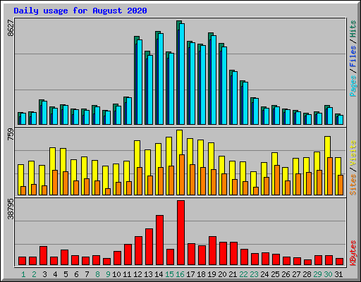 Daily usage for August 2020