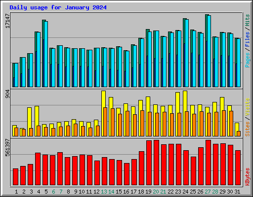 Daily usage for January 2024