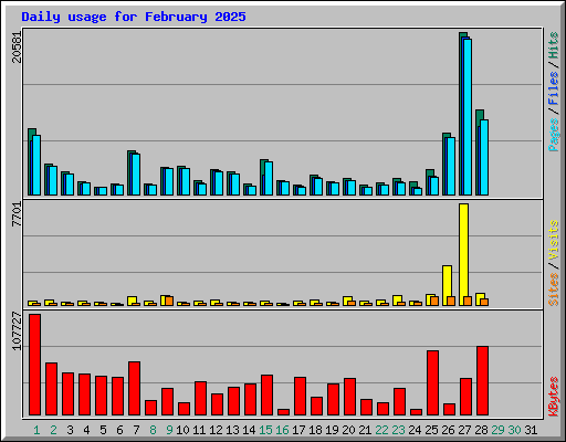 Daily usage for February 2025