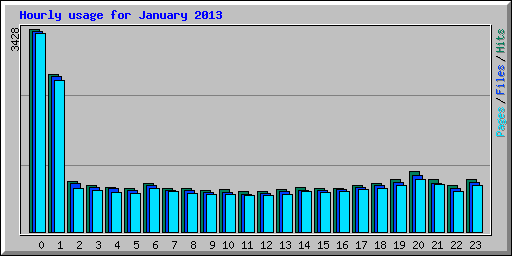 Hourly usage for January 2013