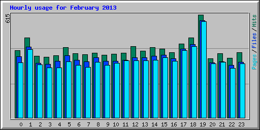 Hourly usage for February 2013