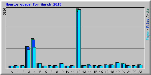 Hourly usage for March 2013