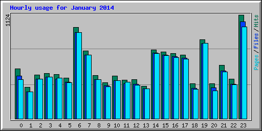 Hourly usage for January 2014