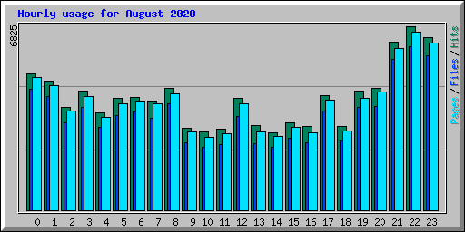 Hourly usage for August 2020