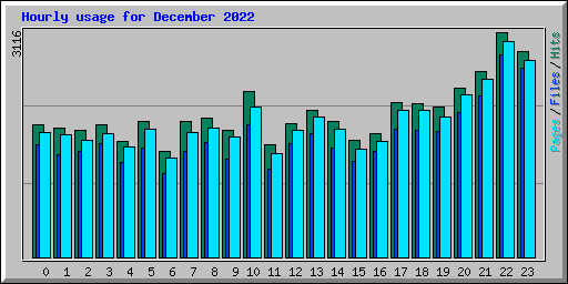 Hourly usage for December 2022