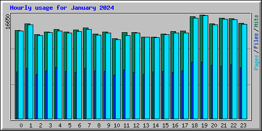 Hourly usage for January 2024