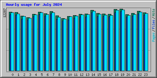 Hourly usage for July 2024