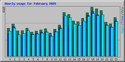 Hourly usage for February 2025