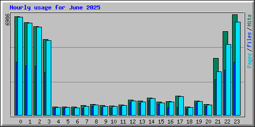 Hourly usage for June 2025