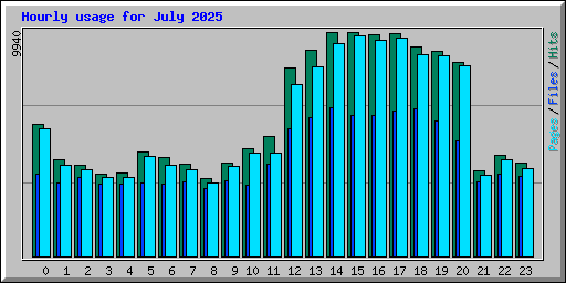 Hourly usage for July 2025